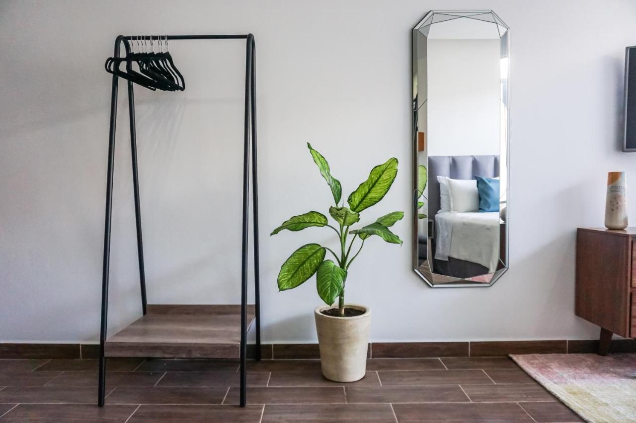 Cozy Studio With Wifi & Netflix بلايا ديل كارمن المظهر الخارجي الصورة