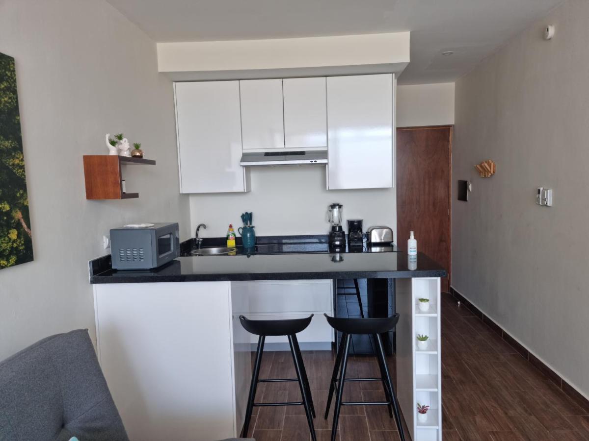 Cozy Studio With Wifi & Netflix بلايا ديل كارمن المظهر الخارجي الصورة