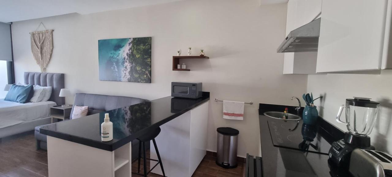 Cozy Studio With Wifi & Netflix بلايا ديل كارمن المظهر الخارجي الصورة